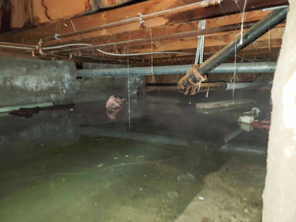 Best Water damage restoration company  in Gordon Heights, NY