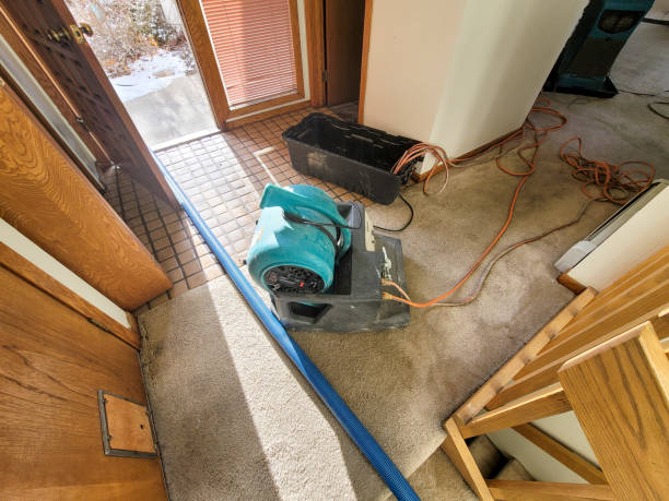 Best Mold removal after water damage  in Gordon Heights, NY