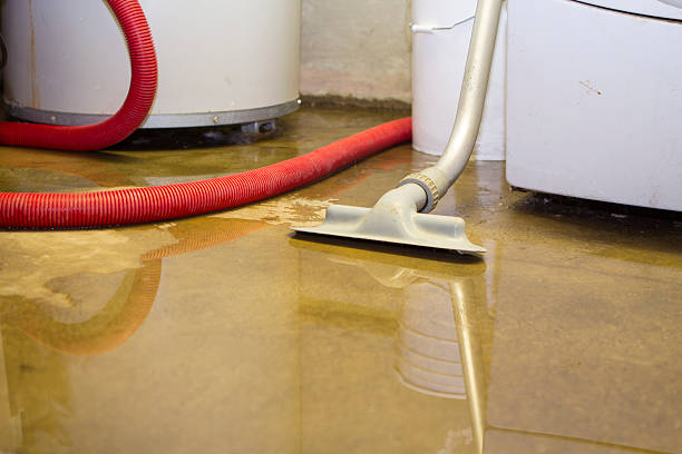 Best Water damage cleanup near me  in Gordon Heights, NY